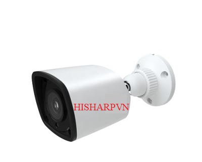 Camera quan sát TD-9421S1 (D/PE/IR1)