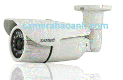 CAMERA SAMBO BDI1240